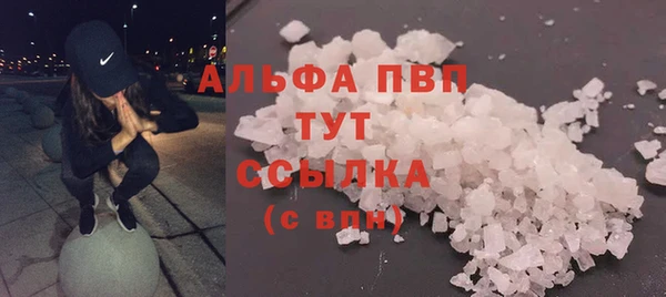 молекула духа Белокуриха