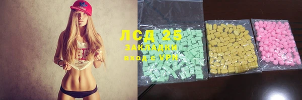 индика Тайга