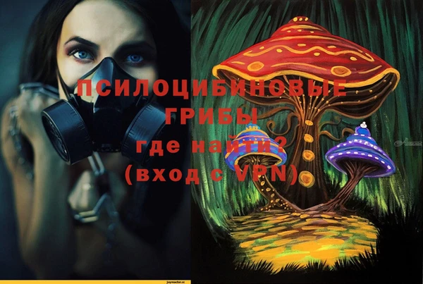 соль ск Беломорск