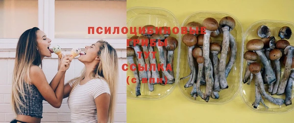 a pvp Сясьстрой